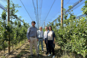 Membres de l’ICF visiten la finca de reconversió varietal de Nufri.