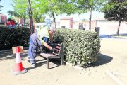 Un operari arreglant un banc d’un parc de la Bordeta ahir durant la campanya Barri a Barri.