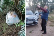 Un productor va aconseguir fer una foto d’un presumpte lladre. I una bossa plena de cireres en una de les finques on han robat