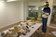 Alguns dels ossos de la sala de simulació de pràctiques i la subdirectora de Veterinària, amb les ulleres 3D. - MAGDALENA ALTISENT