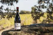 subzona GARRIGUES - BLUECOLLECTORS