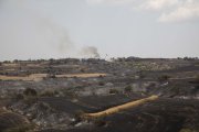 Camps arrasats per les flames al foc de la Segarra. - CARMINA MARSIÑACH