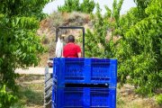 L’agricultura aglutina gairebé el 23% dels autònoms a Lleida. - ALEX SAMPER
