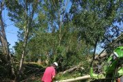 Un treballador de la brigada, ahir a Ribalta. - AJUNTAMENT DE SOLSONA
