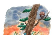 El darrer viatge de la Bruna és una història poètica que tracta temes profunds de la vida, la mort i la llibertat de decidir el nostre propi camí. A través de la figura de la tortuga Bruna, l’autora ens convida a reflexionar sobre el sentit de la mort com una part natural de la vida, i sobre el dret a alliberar-nos del patiment, d’acord amb la nostra pròpia voluntat.