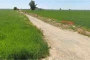 La zona on s’instal·larà la macroplanta de biogàs per revaloritzar residus de granges. - BIOFERTILIZANTES CH4