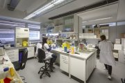 Un dels laboratoris de l’Institut de Recerca Biomèdica de Lleida. - IRBLLEIDA