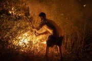 Un home realitza tasques d’extinció en l’incendi forestal d’A Rúa (Ourense). - PRESIDÈNCIA DEL GOVERN