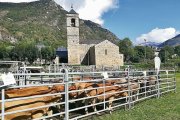 Imatge d’arxiu de bestiar boví a la Fira de Barruera. - PATRONAT DE LA VALL DE BOÍ