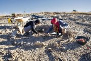 Dos arqueòlegs treballant en el jaciment la setmana passada. - LAIA PEDRÓS