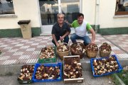 Manel Muñoz i Joan Mora, de Cervera, van aconseguir una bona collita de ceps aquesta setmana. - SEGRE