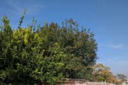 Un grup de visitants durant la jornada d’ahir a la Granja Pifarré. - MAS BLANCH I JOVÉ