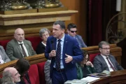 El conseller Òscar Ordeig, durant la seua compareixença ahir al Parlament. - EUROPA PRESS