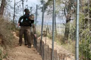 Els agents rurals inspeccionen la tanca perimetral en una zona forestal de Rubí. - COMÚ DE LLEIDA