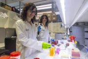 Les germanes formen part del Grup d’Investigació de Biomarcadors en Càncer (GReBiC). - JORDI ECHEVARRIA