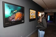 Exposició ‘Colors del món’, amb fotos de la ‘National Geographic’. - MAGDALENA ALTISENT
