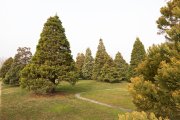 Resiliència d'hivern: arborètum Lleida