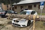 Vorejant la desgràcia. Un arbre proper al Parador d’Arties es va precipitar ahir per culpa del vent sobre l’aparcament de l’hotel i va destrossar un dels vehicles estacionats. El personal de l’hotel i els Pompièrs es van coordinar per retirar-ho i per restablir la circulació com més aviat millor. - MANU MOGA