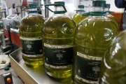 Oli verd acabat d'envasar a la Cooperativa del Camp de Cervià de les Garrigues.