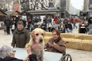 Una dona raspalla un gos dins dels actes organitzats al matí al Terrall. - A.L.B.B.