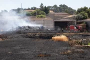 Zona cremada ahir a Talavera, a la Segarra. - AGENTS RURALS