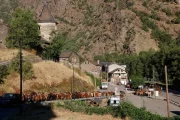 El ramat de cavalls de Casa Palanca de Tor transita per l’interior del poble. - MARTA LLUVICH/ACN