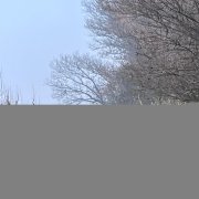 Noves sortides saludables per redescobrir l’entorn de Lleida.