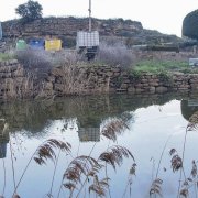 Vista de la bassa i el mur de pedra en el qual està previst intervenir per millorar la seguretat. - LAIA PEDRÓS