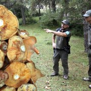 La bona temporada boletaire torna a situar la regulació dels bolets en el punt de mira