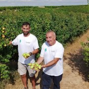 El responsable de fruita dolça d’Asaja Lleida, Jordi Vidal, amb Pere Roqué, president d’Asaja Lleida. - J. MARTÍNEZ