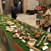 Visitants ahir a l’exposició que es podrà veure fins demà al Pati de l’IEI. - AMADO FORROLLA