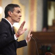 Pedro Sánchez aquest dimecres en un moment de la seua intervenció durant la sessió de control al Govern al Congrés dels Diputats.