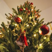 Allyson Beaucourt / Unsplash