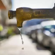 Prop d’un centenar de municipis es troben en zones de proveïment de nivell alt d’exigència de vigilància. - MAGDALENA ALTISENT