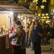 El certamen, que es pot visitar fins demà, compta amb 90 expositors i organitza 40 activitats. - LAIA PEDRÓS