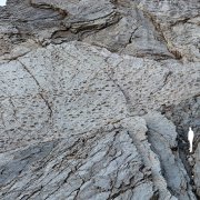 En el Parque Nacional de Stelvio, en los Dolomitas italianos, se ha descubierto lo que todos llaman ya el "valle de los dinosaurios": miles de huellas fósiles estampadas en las paredes verticales inaccesibles de la montaña por los llamados 'prosaurópodos