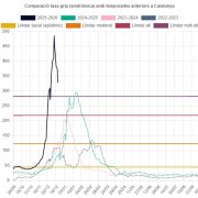Salut confirma la baixada de la incidència de la grip i crida a la prevenció per les festes de Nadal