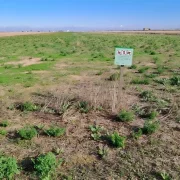 Una finca de secà en una zepa dels secans de Lleida.