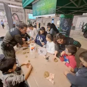 Reproducció de petjades d’animals en un taller al Cucalòcum. - FIRA DE LLEIDA