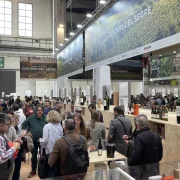 Imatge d’arxiu de la DO Costers del Segre a la BWW del 2025. - RAFA GIMENA