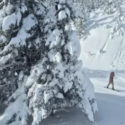 L’última nevada va deixar el complex amb nous gruixos a les cotes altes. - PORT AINÉ