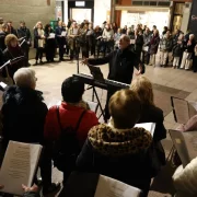 La plaça Paeria va acollir ahir l’acte ‘Cada Veu Compta’ de l’Associació contra el Càncer de Lleida. - AMADO FORROLLA