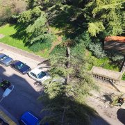 Vista de l’arbre caigut sobre un vehicle aparcat al carrer Roca Labrador, al barri d’Escorxador. - ROSA M. ALTÉS