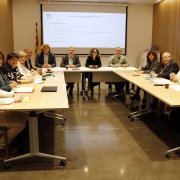 Reunió plenària del Patronat del Museu de Lleida