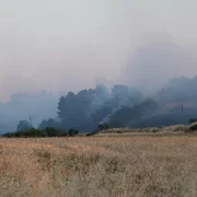El foc va causar una gran fumarada. - JORDI BONILLA