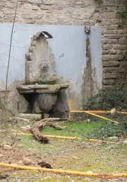 Estat actual de l’entorn de la font de Fiol. - JORDI BONILLA