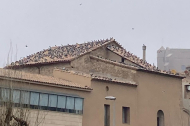 Una de les teulades del centre històric de Balaguer.