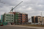 Els blocs de pisos protegits en construcció als Mangraners