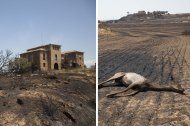 Les imágenes de la desolación después del gran incendio de la Segarra