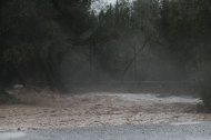 L'N-340, tallada entre la Ràpita i Amposta ahir diumenge.